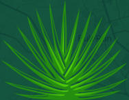 Mouthwatering Mexican Dishes Just Minutes from St. George
